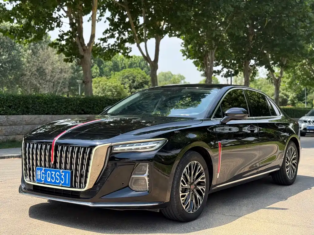Hongqi H5 2024 2.0T AT