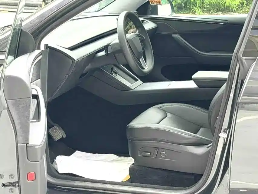Tesla Model Y — миниатюра 4