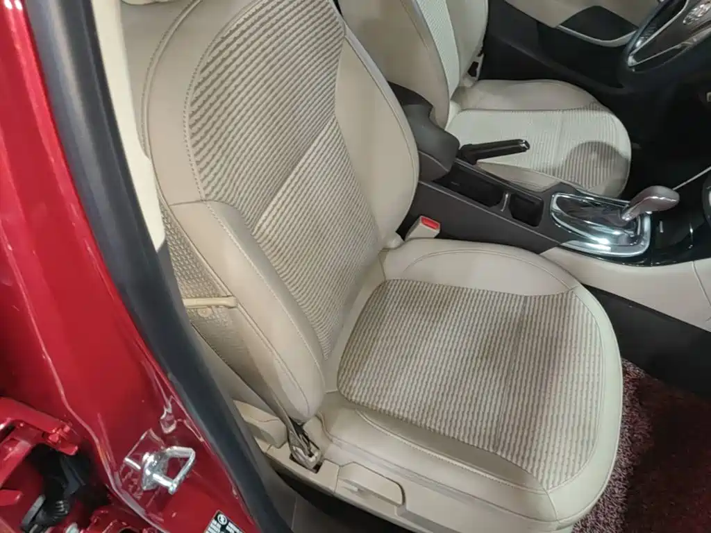 Buick Regal — миниатюра 25