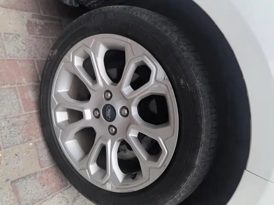 Ford Ecosport — миниатюра 6