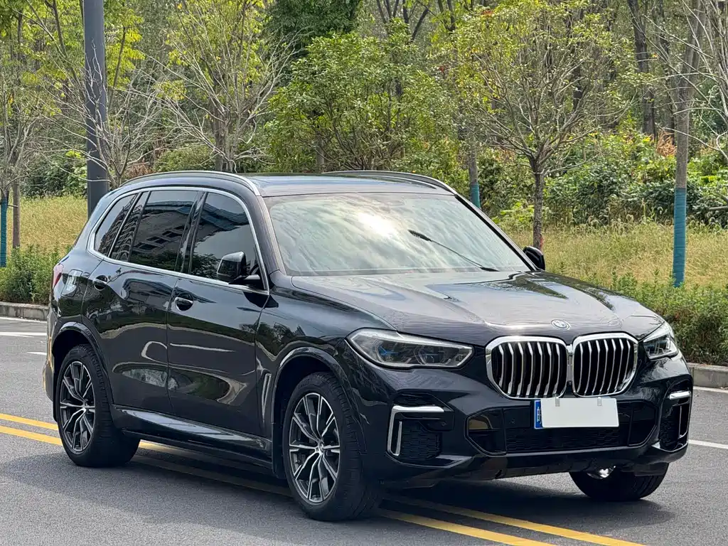BMW X5 — миниатюра 3
