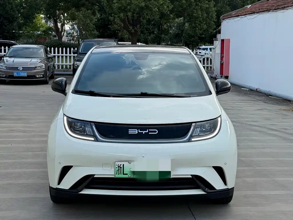 BYD Dolphin — миниатюра 2
