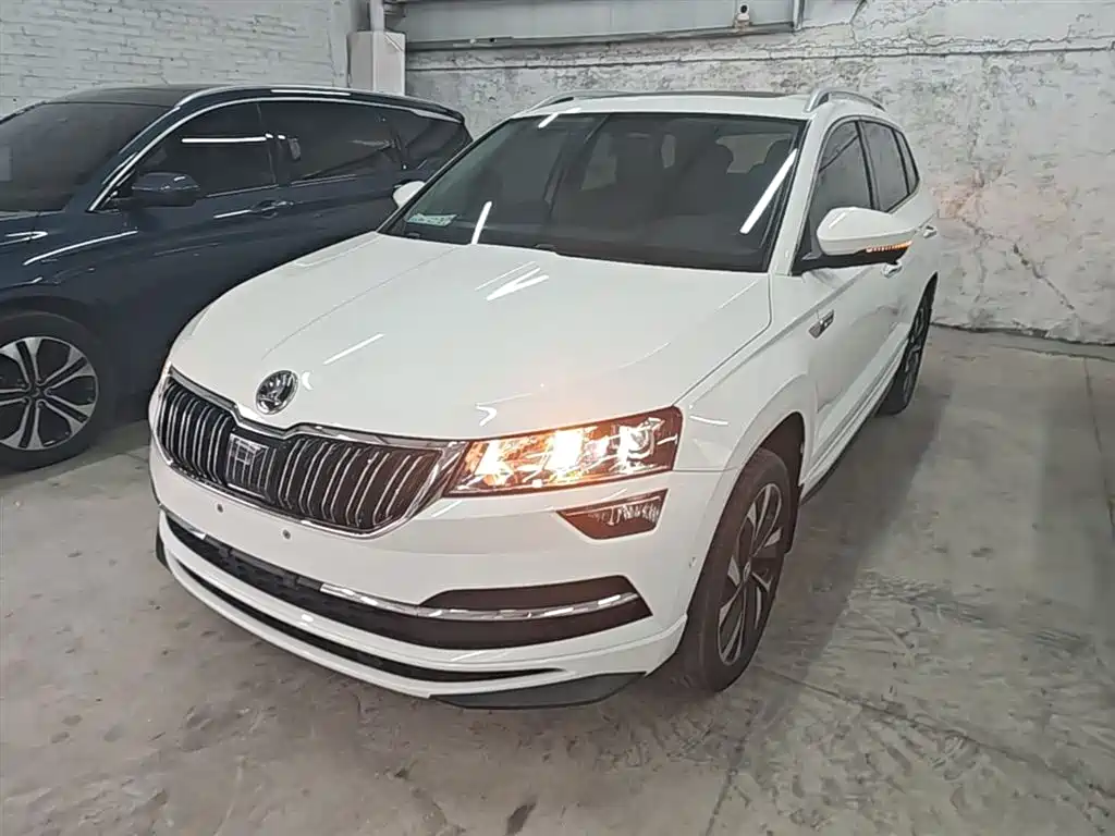 Купить Skoda Karoq