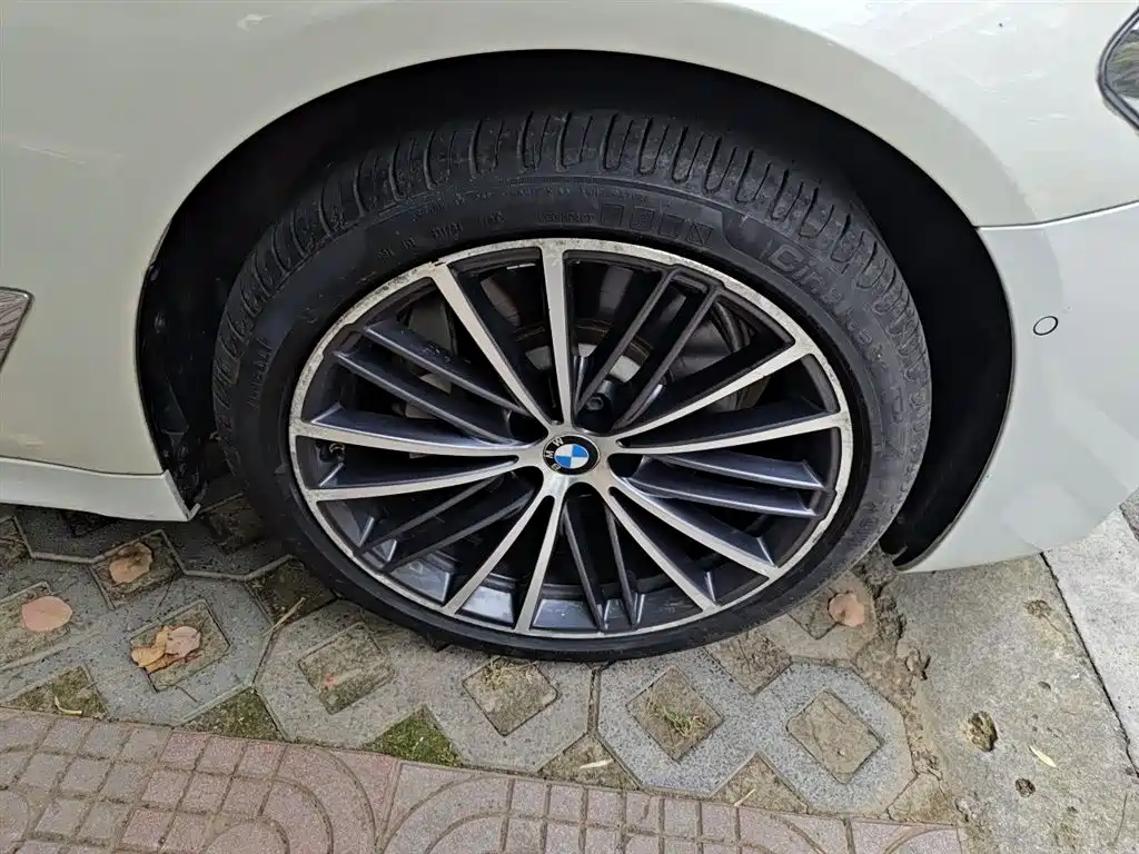 BMW 5 Series 5 2020 530Li Premium M Sport