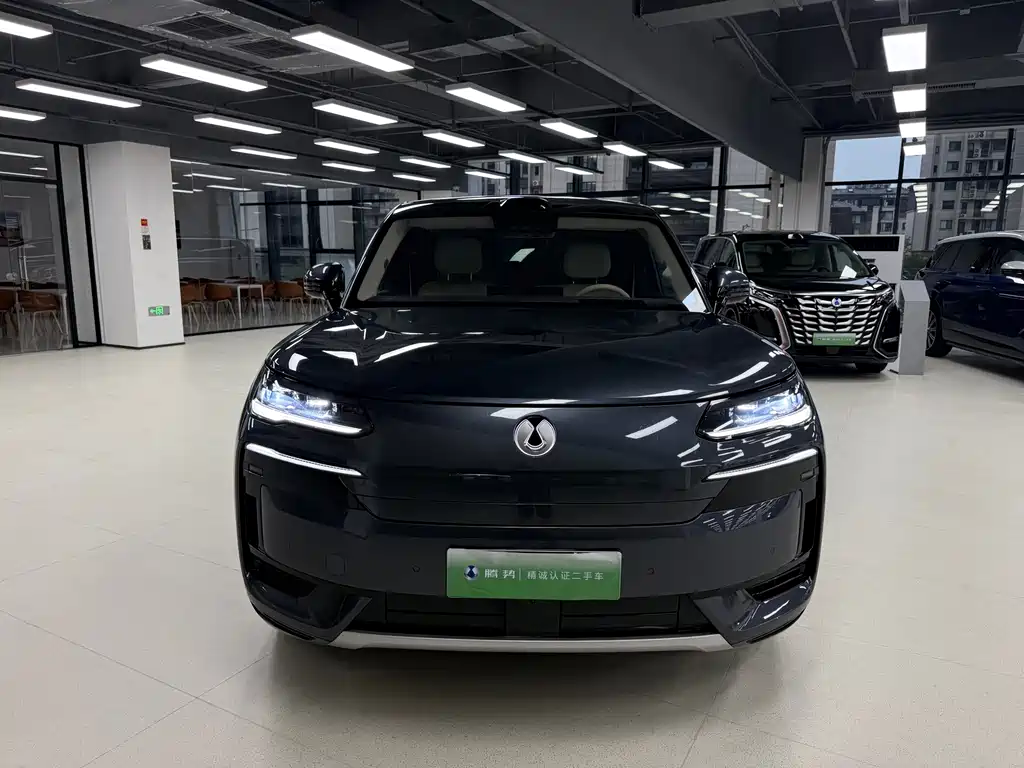 Denza Denza N9 — миниатюра 2