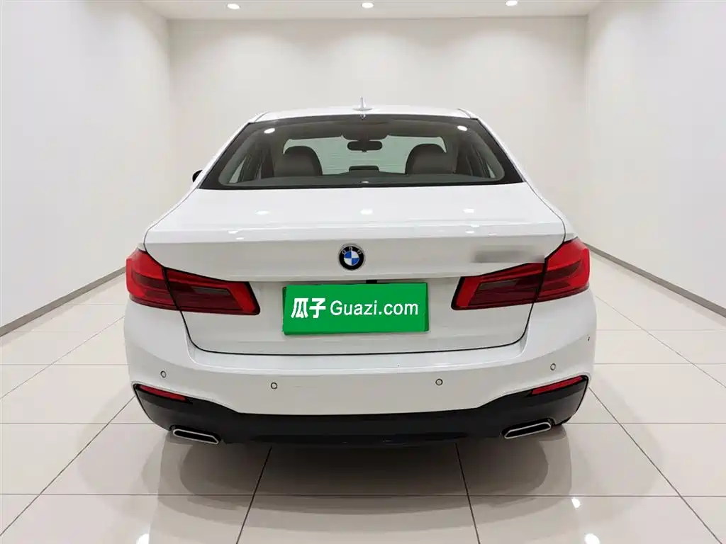 BMW 5 Series 5 2020 530Li Premium M Sport