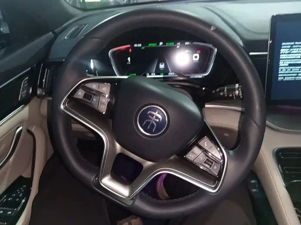 BYD PLUS New Energy — миниатюра 11