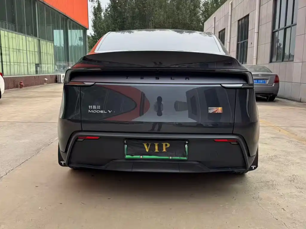 Tesla Model Y — миниатюра 6