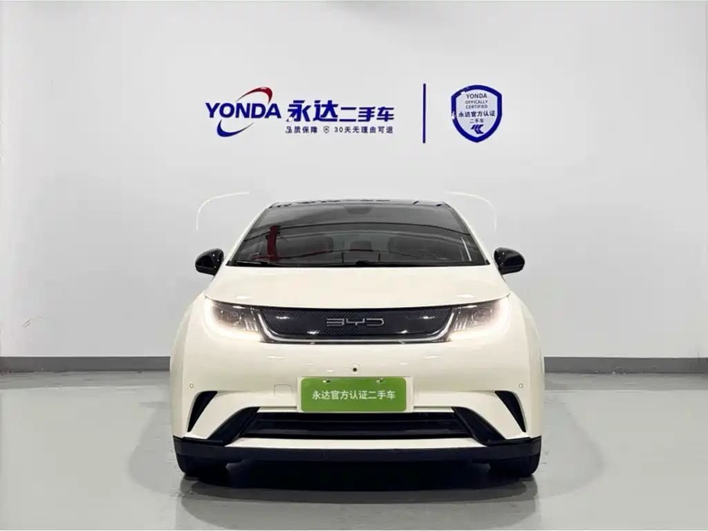 BYD Dolphin — миниатюра 2