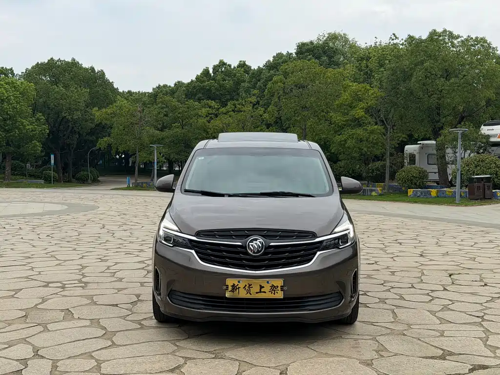 Buick GL8 — миниатюра 2
