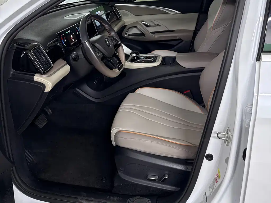 BYD Pro New Energy — миниатюра 9