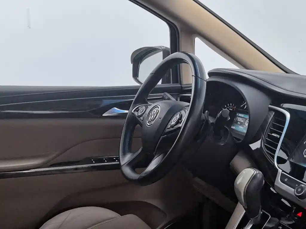 Buick GL8 — миниатюра 22