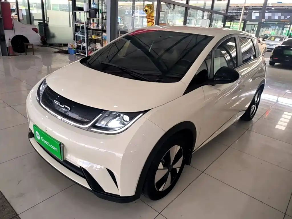 BYD Dolphin — миниатюра 2