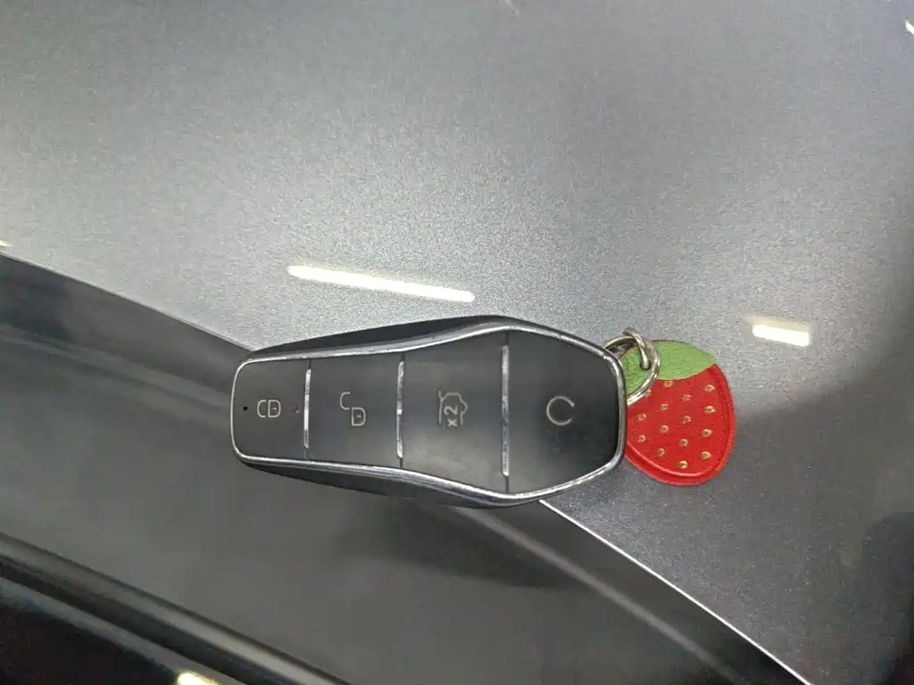 BYD Yuan Plus — миниатюра 9