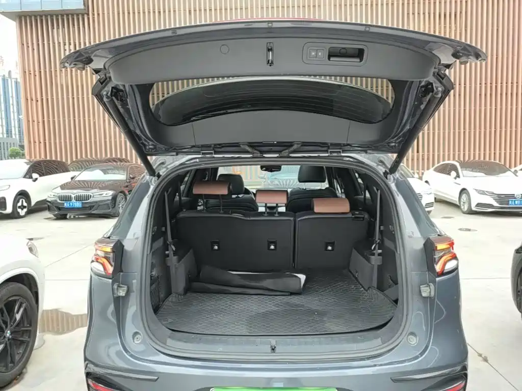BYD Tang New Energy — миниатюра 19