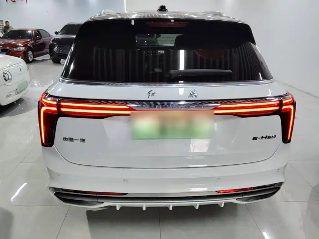Hongqi Hongqi E-HS9 — миниатюра 5
