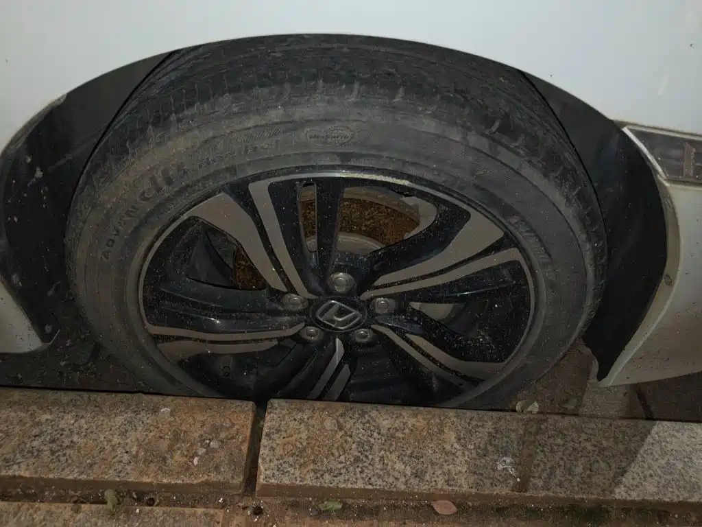 Honda Civic — миниатюра 8