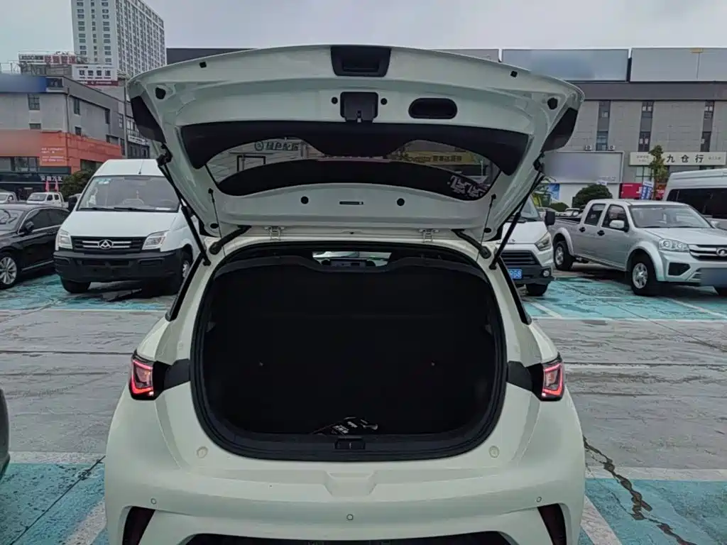 BYD Dolphin — миниатюра 19