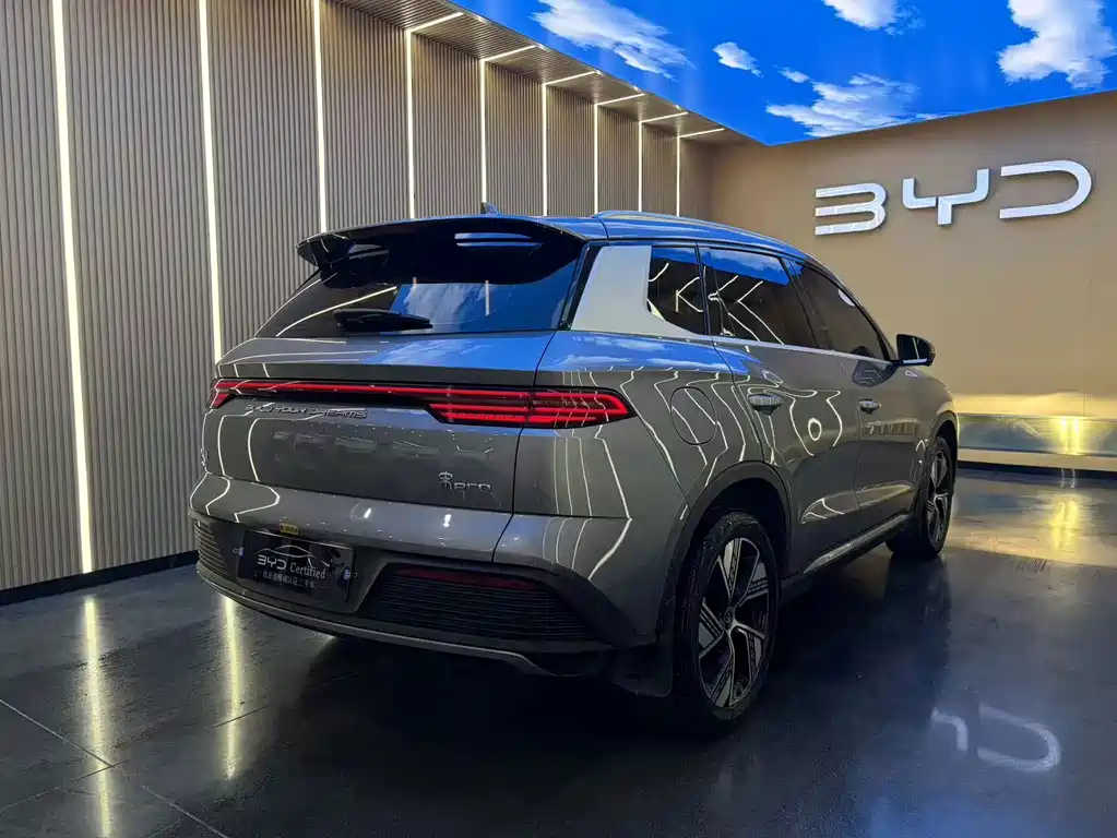 BYD Pro New Energy — миниатюра 14