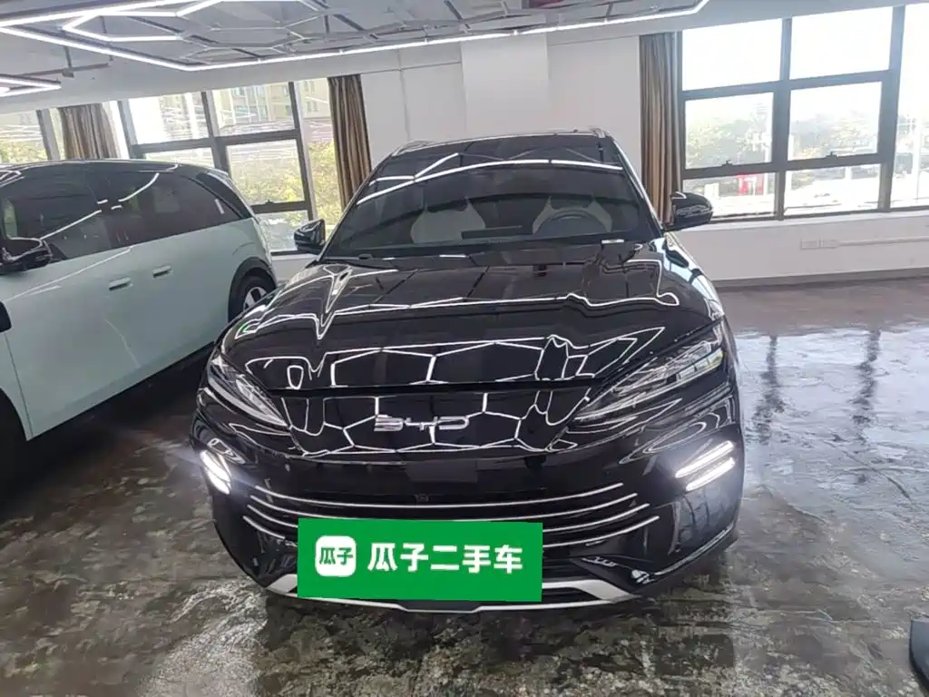 BYD PLUS New Energy — миниатюра 3