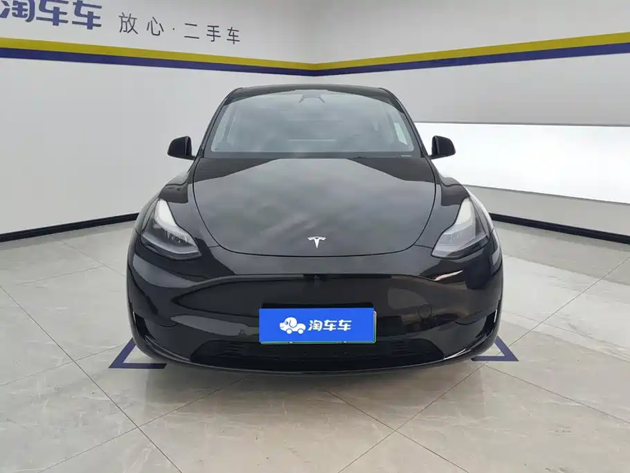 Tesla Model Y — миниатюра 2