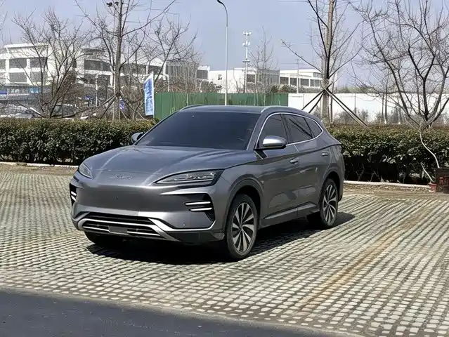 BYD SONGJIANG NEW ENERGY 2024