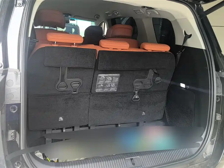 Dongfeng V9 2024 1.5TD 200km Luxury