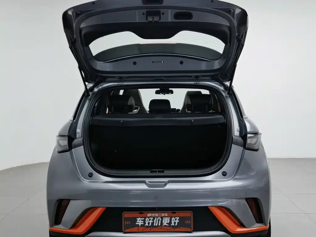 BYD Dolphin — миниатюра 16