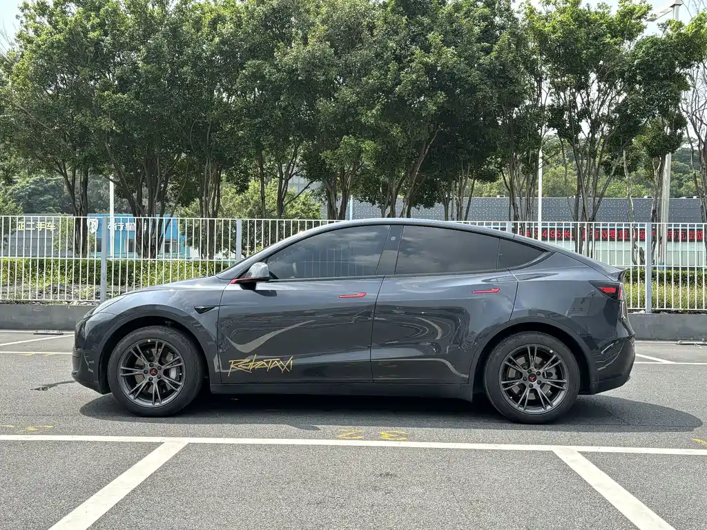 Tesla Model Y — миниатюра 4