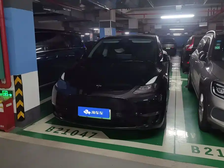Tesla Model Y — миниатюра 2