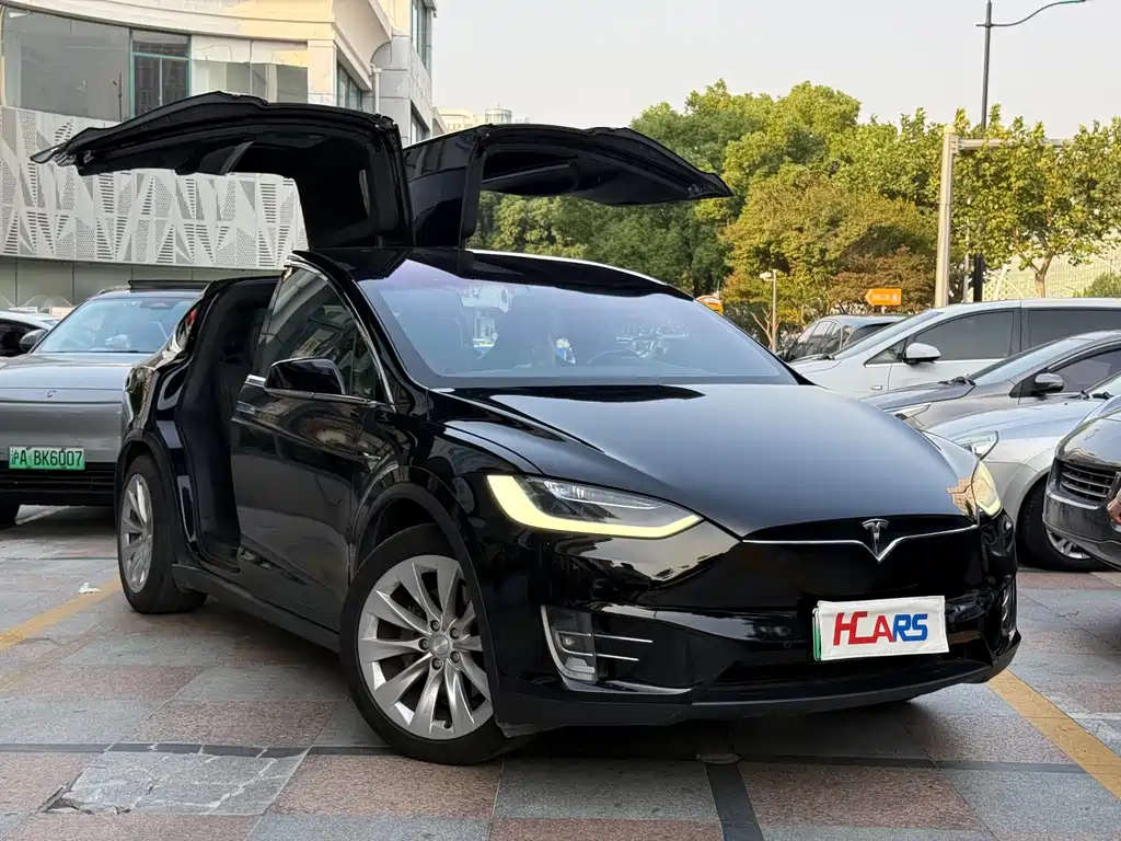 Tesla Model X — миниатюра 2