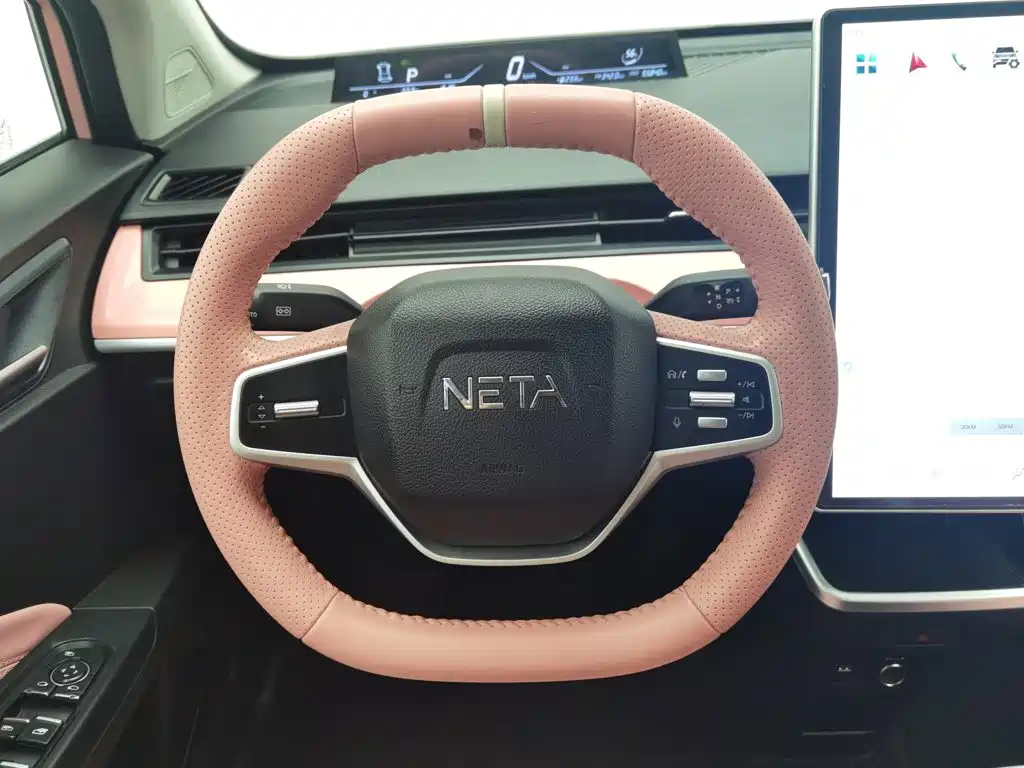 Neta Neta V — миниатюра 11