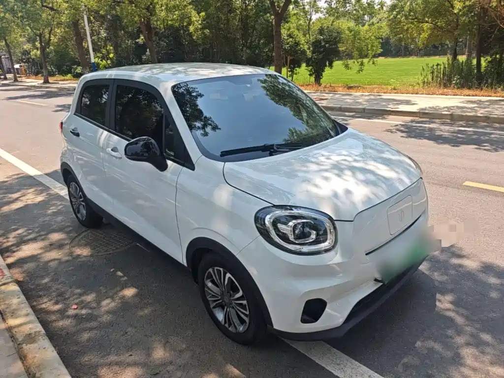 Leapmotor T03 2024 310