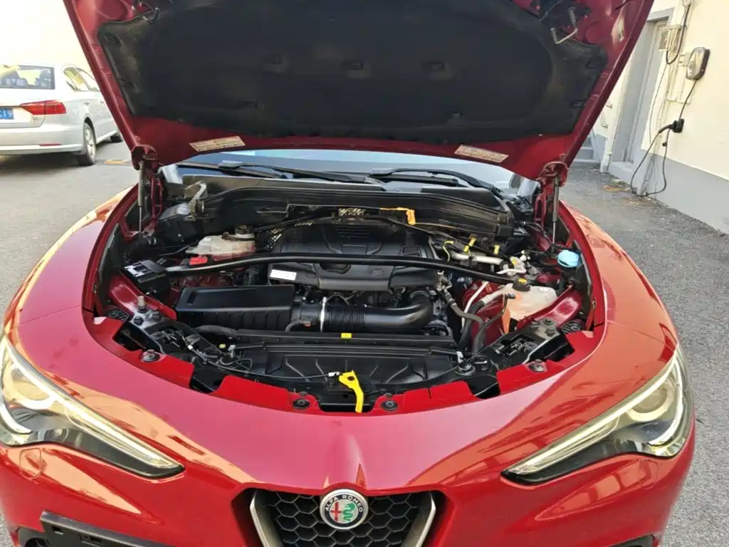 Alfa Romeo Stelvio — миниатюра 20