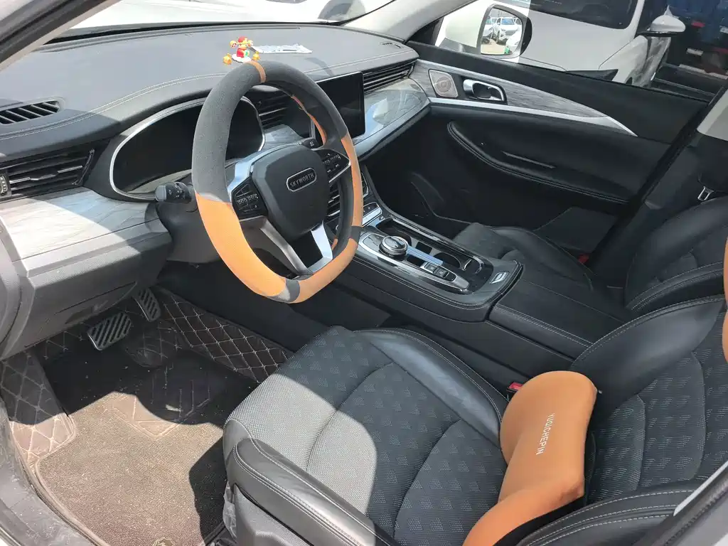 Skyworth EV6 — миниатюра 10