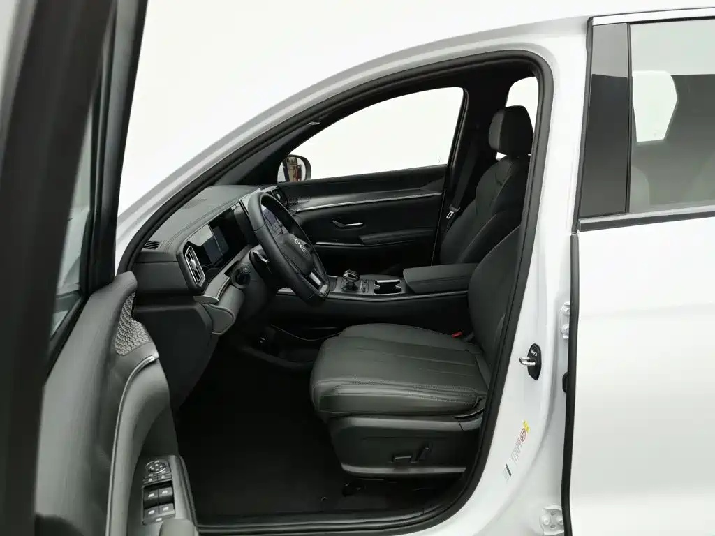BYD Pro New Energy — миниатюра 10