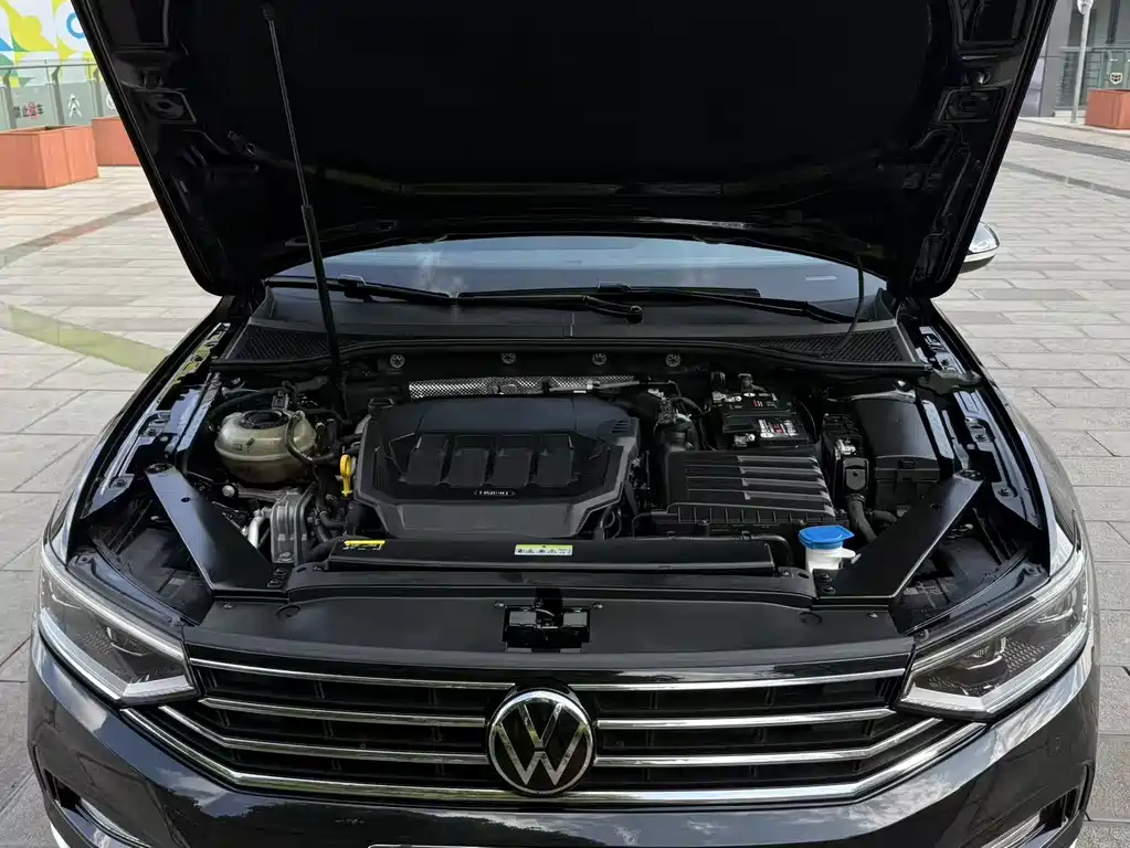 Volkswagen Magotan 2020 330TSI DSG Luxury