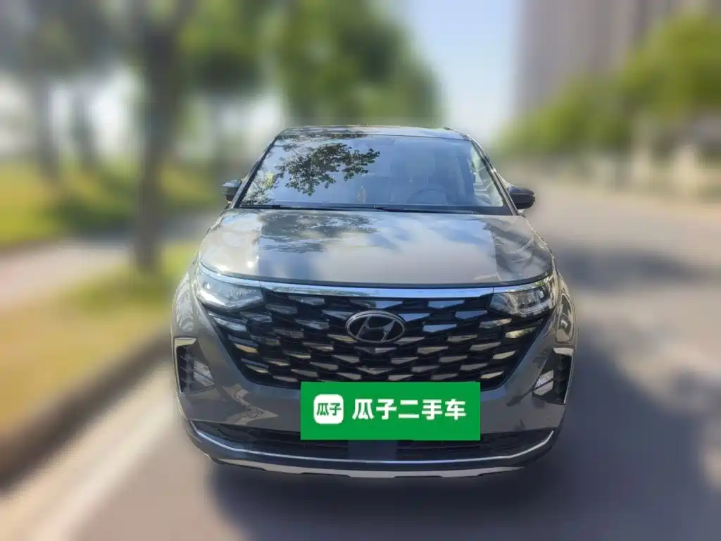Hyundai Custo — миниатюра 2