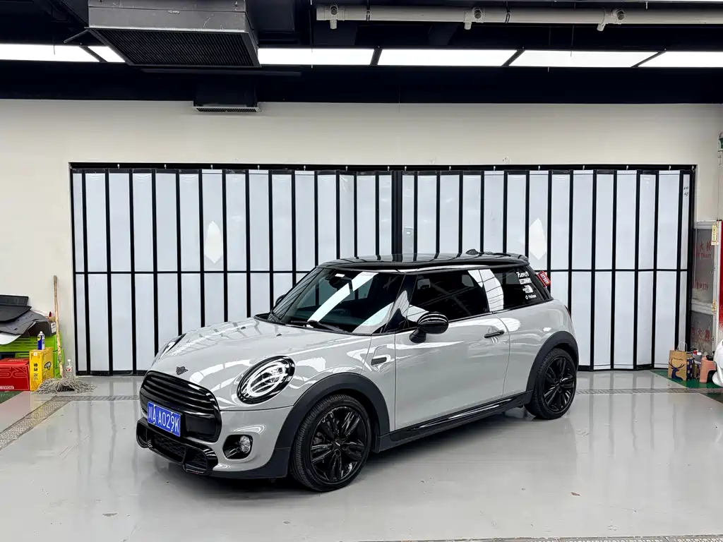 Mini Mini 2020
