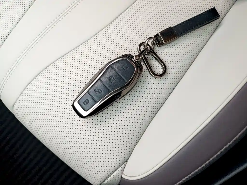 BYD PLUS New Energy — миниатюра 9