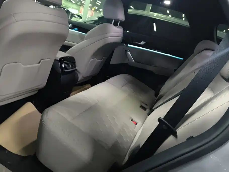 BYD Tang New Energy — миниатюра 11