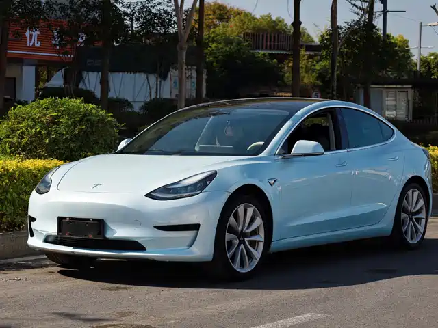 TESLA MODEL 3 2020