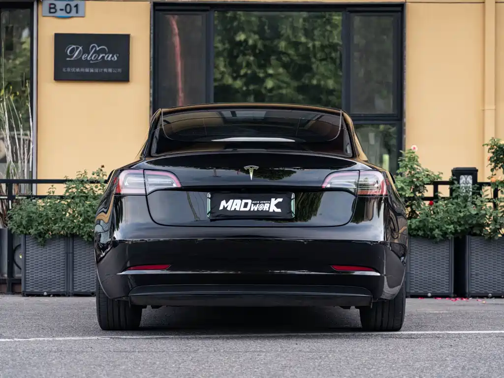 Tesla Model 3 2021 3D1