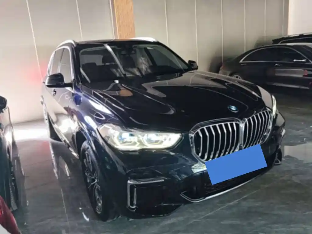 BMW X5 — миниатюра 3