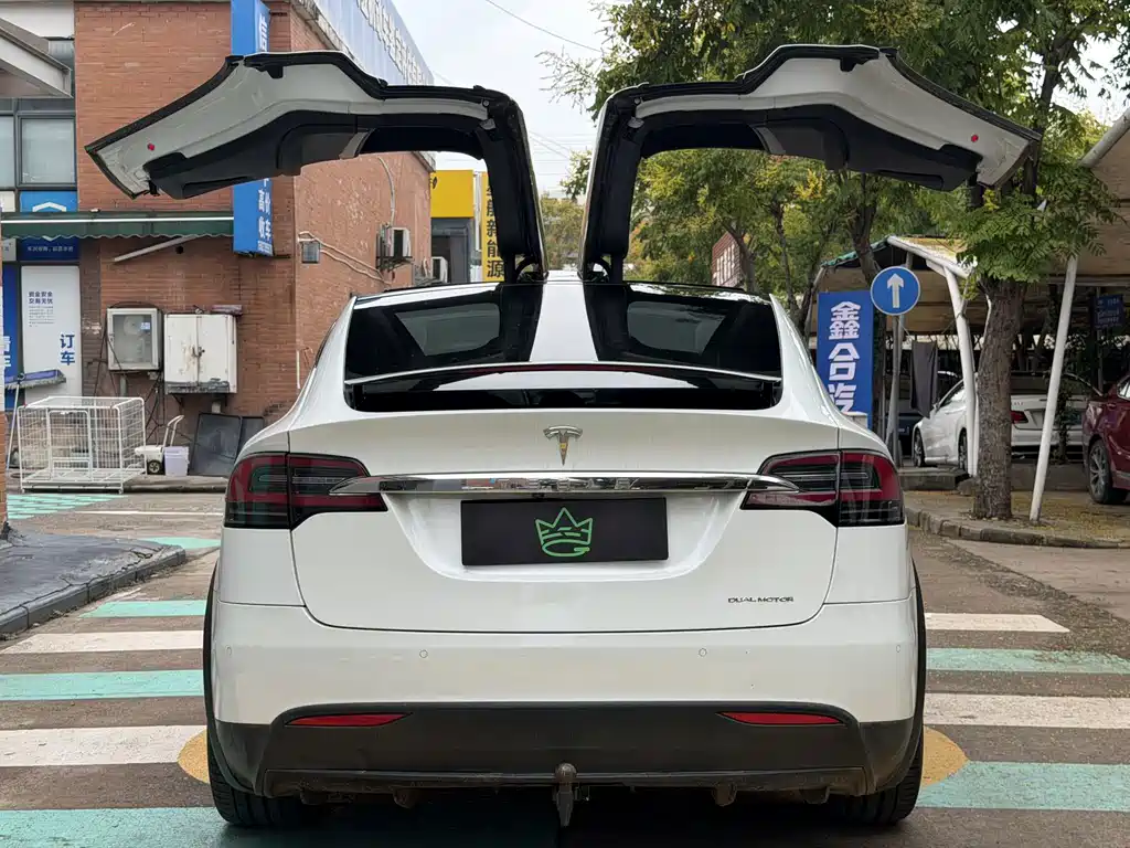 Tesla Model X — миниатюра 8