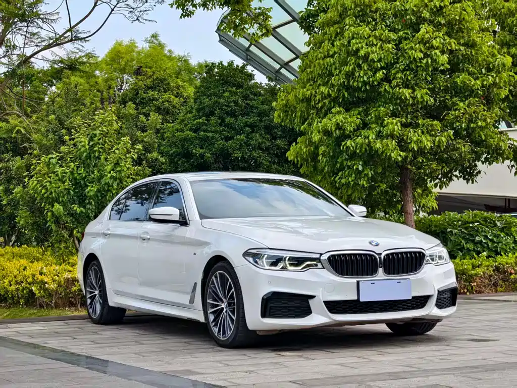 BMW 5 Series 5 2020 530Li Lead M Sport