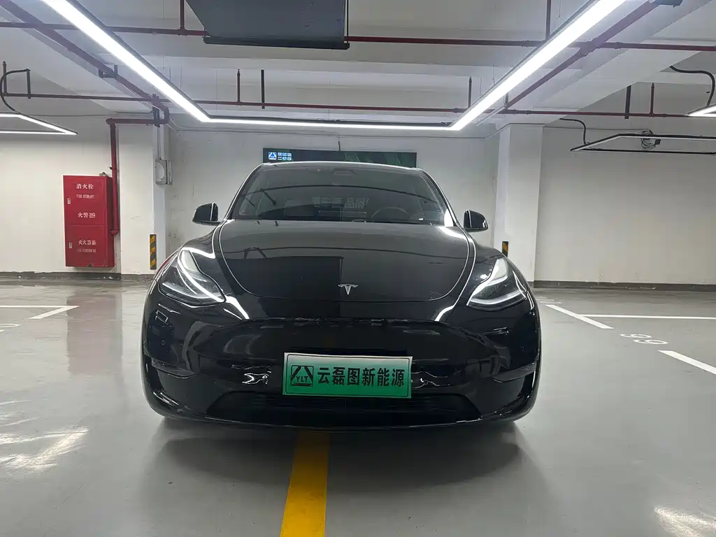 Tesla Model Y 2022 Performance