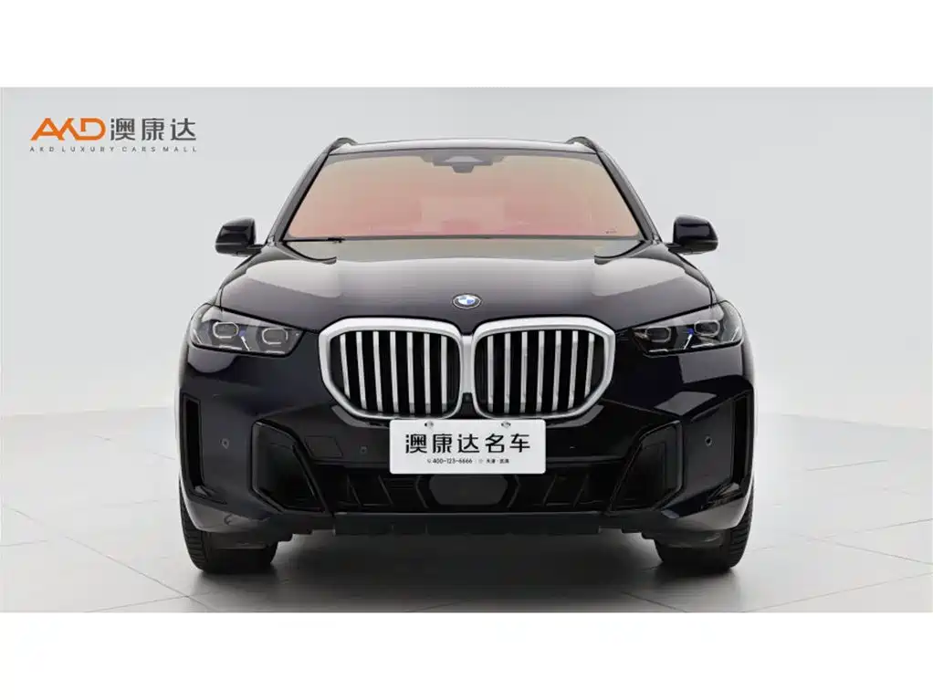 BMW X5 — миниатюра 2