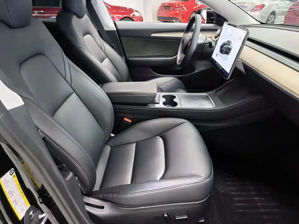Tesla Model 3 — миниатюра 14