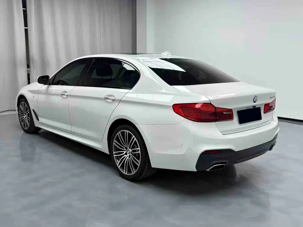 BMW 5 Series 5 2019 530Li Lead Luxury